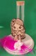 Thumbs/tn_3ballotin blanc cte1 2023.jpg